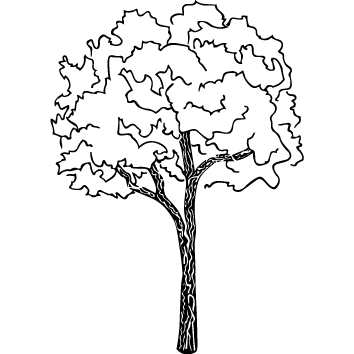 Sticker arbre : 09